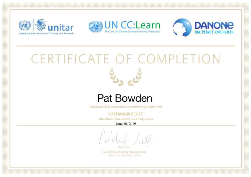 UN Online Free Courses with Certificates 2023 [Full Guide]