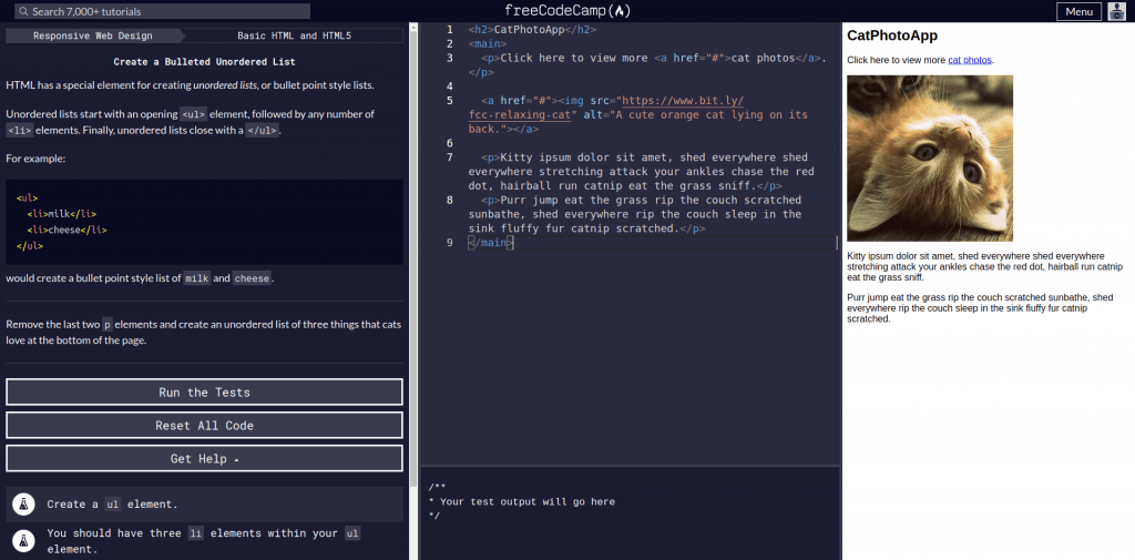 fcc-coding-interface-1024x505.png