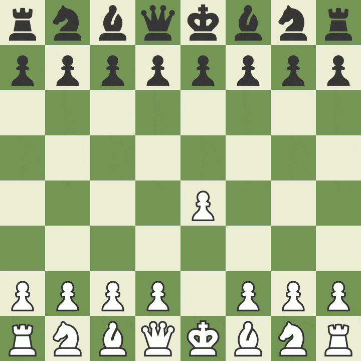 Chess match